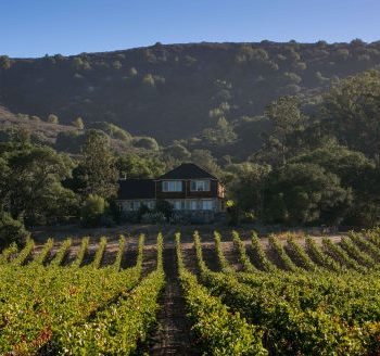 Overlooking the vineyards at Mary's House