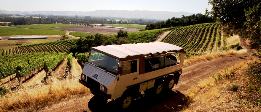 sonoma vineyard tour