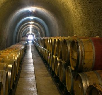 Cave with barrels lined on each side