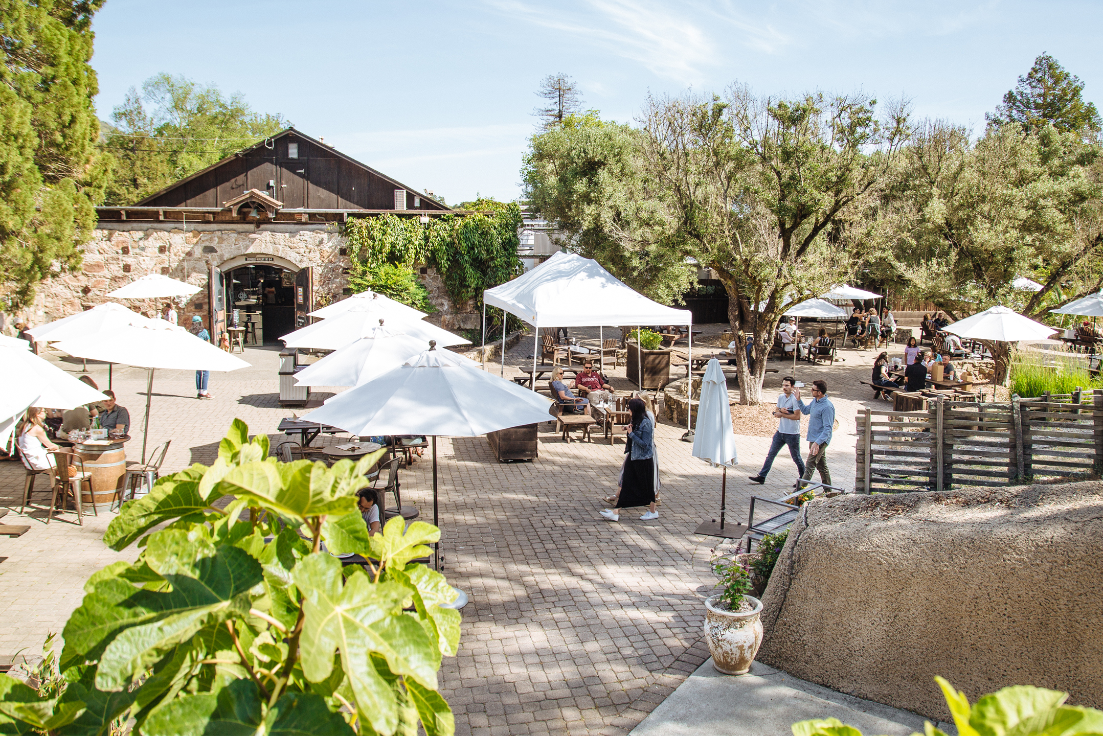 People walking around tasting room