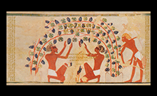 Anchient egyptian hieroglyph's depictiving wine harvesting