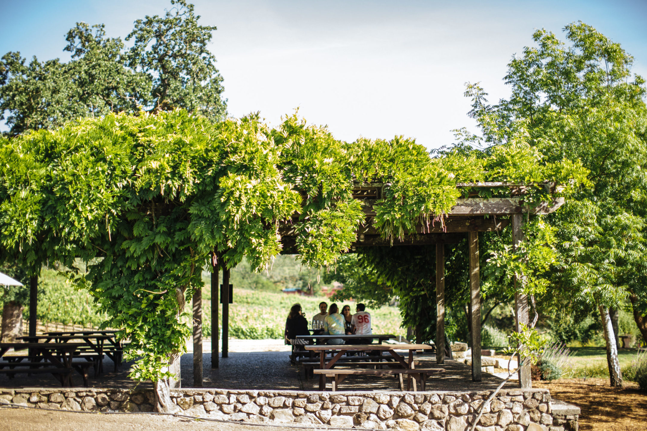 Five people sitting at a picnic table under the shade of a tree