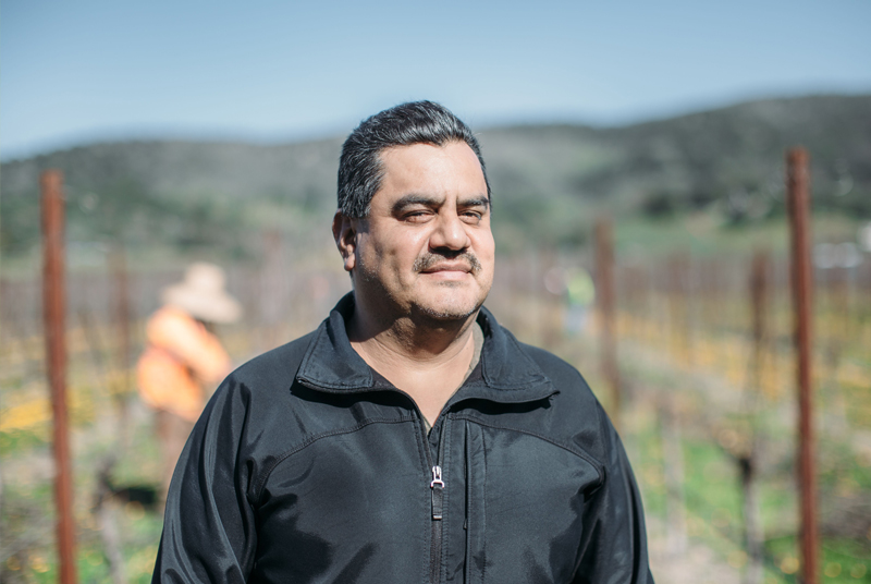 Black short-haired person in black shirt next to the vineyards