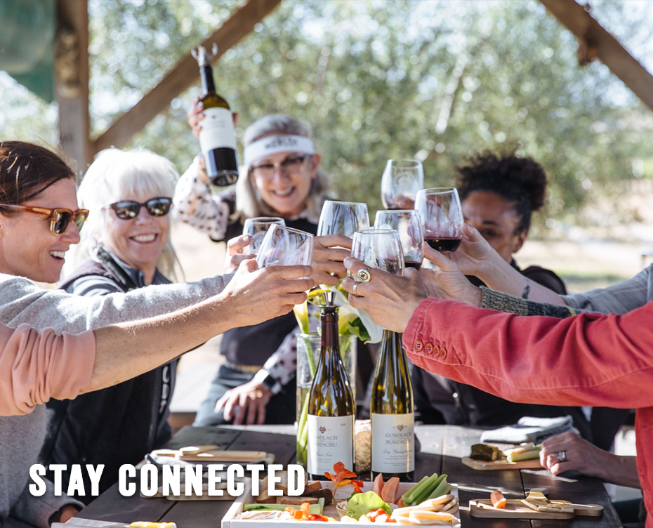 People holding glasses of wine at a picnic table with appetizers and two bottles of wine with an olive tree in the background