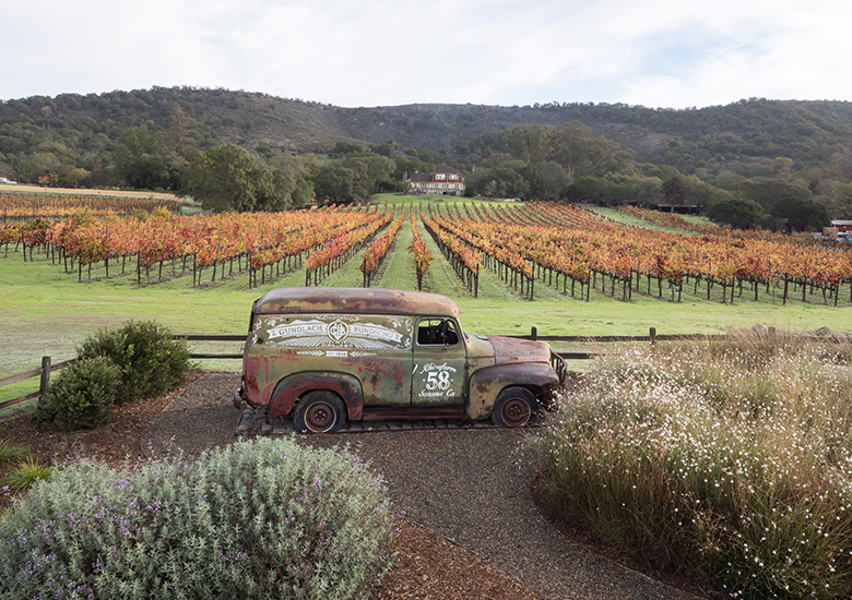 Old green sedan in fenced area with rows of autumn grapevines and a hill in the background