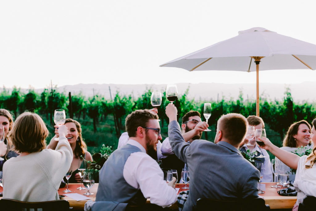 people at table in vineyard field holding wine glasses and cheersing