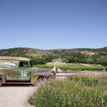 Green and rusted sedan delivery truck on a gravel road with vineyards and a house in the background