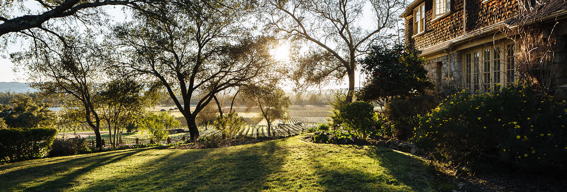 Old house on the right looking at a vineyard in the distance through trees with the sun setting