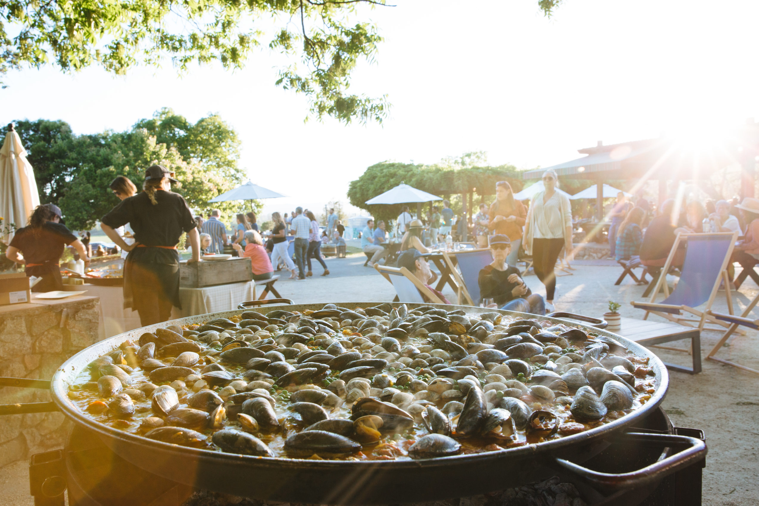 Golden Hour Paella Pick Up Party at Gundlach Bundschu Winery