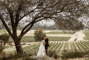 Wedding photos at Gundlach Bundschu Winery overlooking vineyard